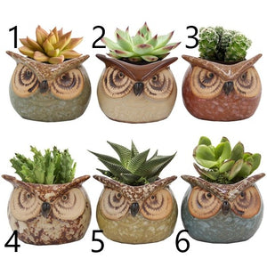 Ceramic Succulent/Cactus Pot